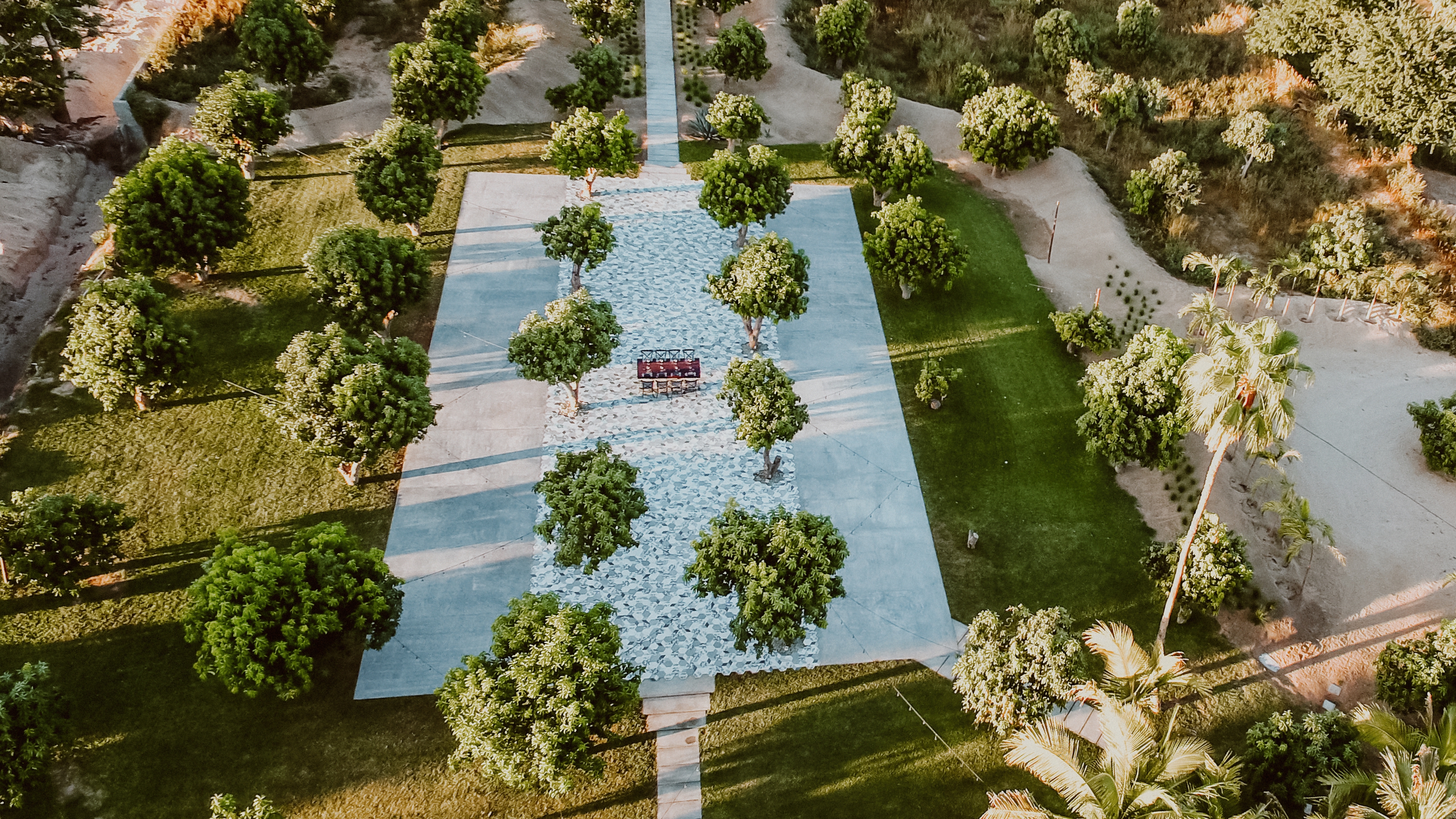 Mango Orchard
